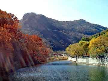 新澳门二四六天天开奖，除泥地垫